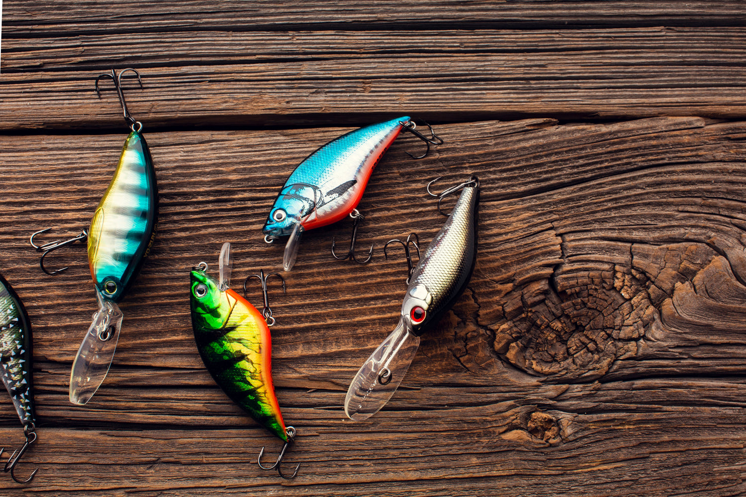 Soft Lures
