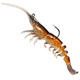Brown Shrimp