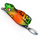 Orange &  Green / Frog