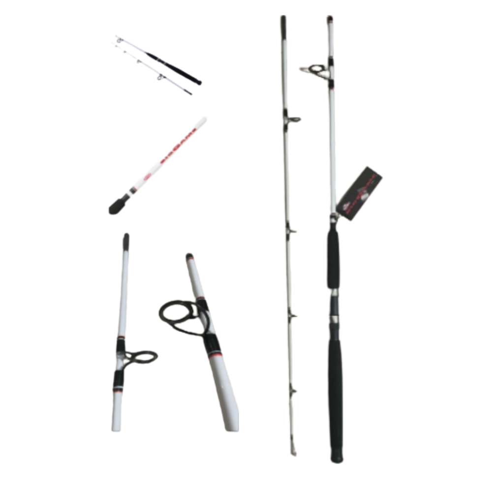 Berkley Big Game 12 Feet Rod!