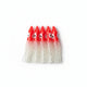 Red & White